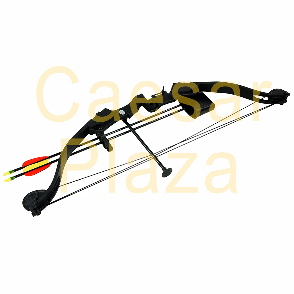25 lb Black Archery Hunting Compound Bow + Quiver +2 30" Bolts Crossbow